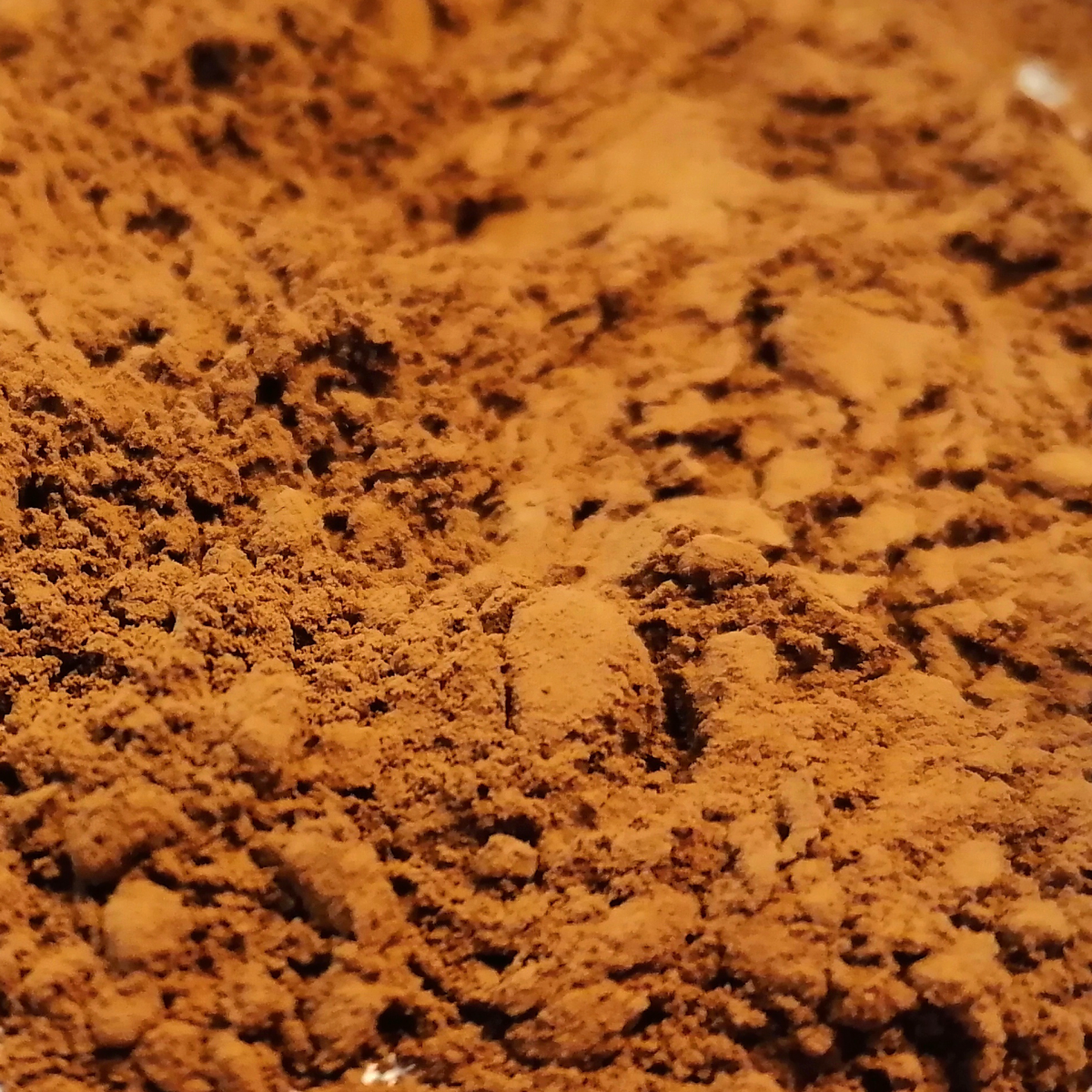 Порошок какао алкалізований Darko TM Barry Callebaut